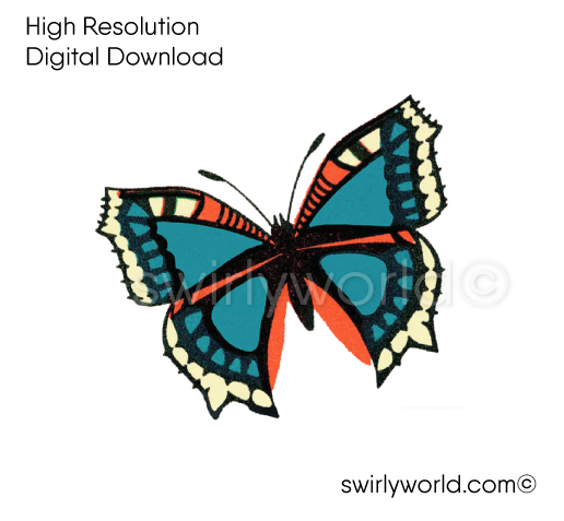 1960s mid-century modern MCM vintage Butterfly Valentine's Day images for digital download. Cute and kitschy retro very RARE Valentine illustrations that have been digitally restored.