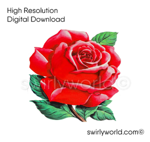 1950s-1960s mid-century vintage Red Rose Valentine's Day images for digital download. Cute and kitschy retro very RARE Valentine illustrations that have been digitally restored.